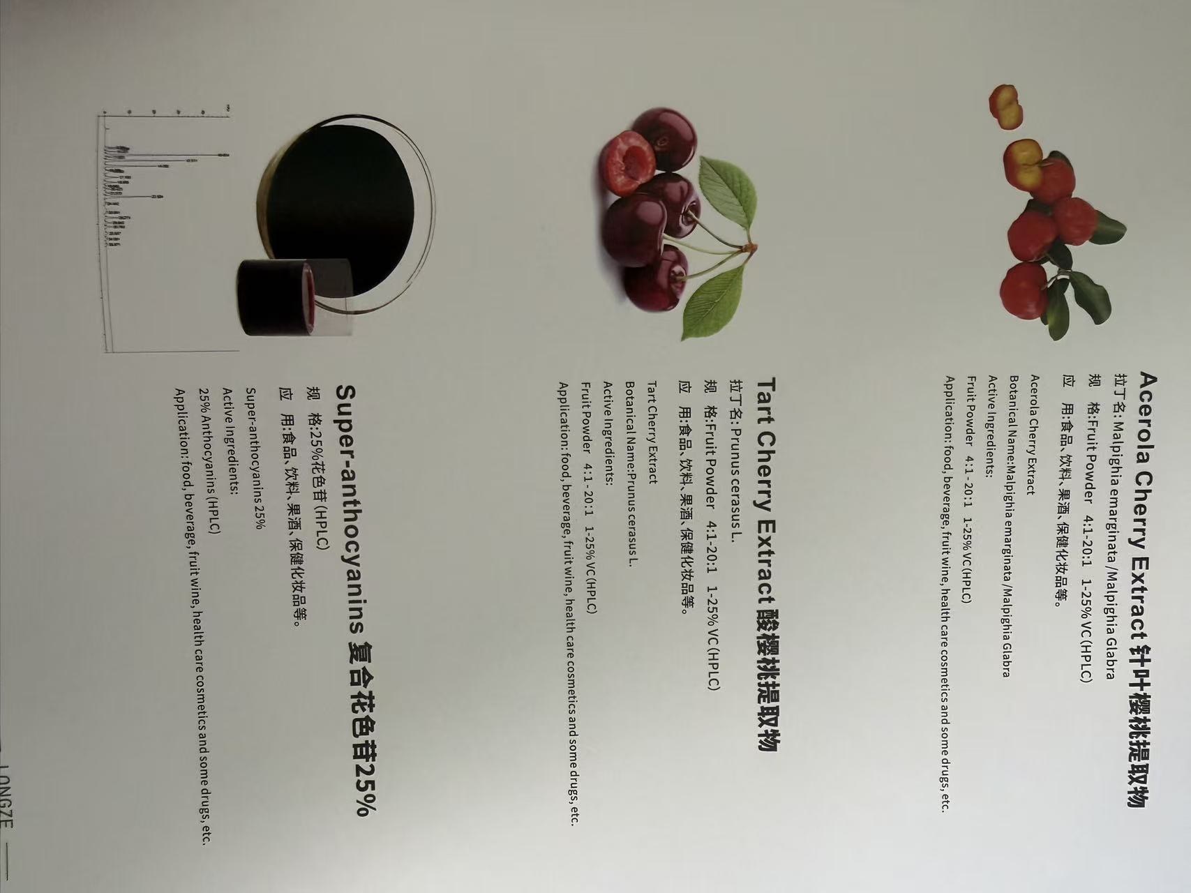 Acerola Cherry Extract botanical source illustration from the supplied catalog