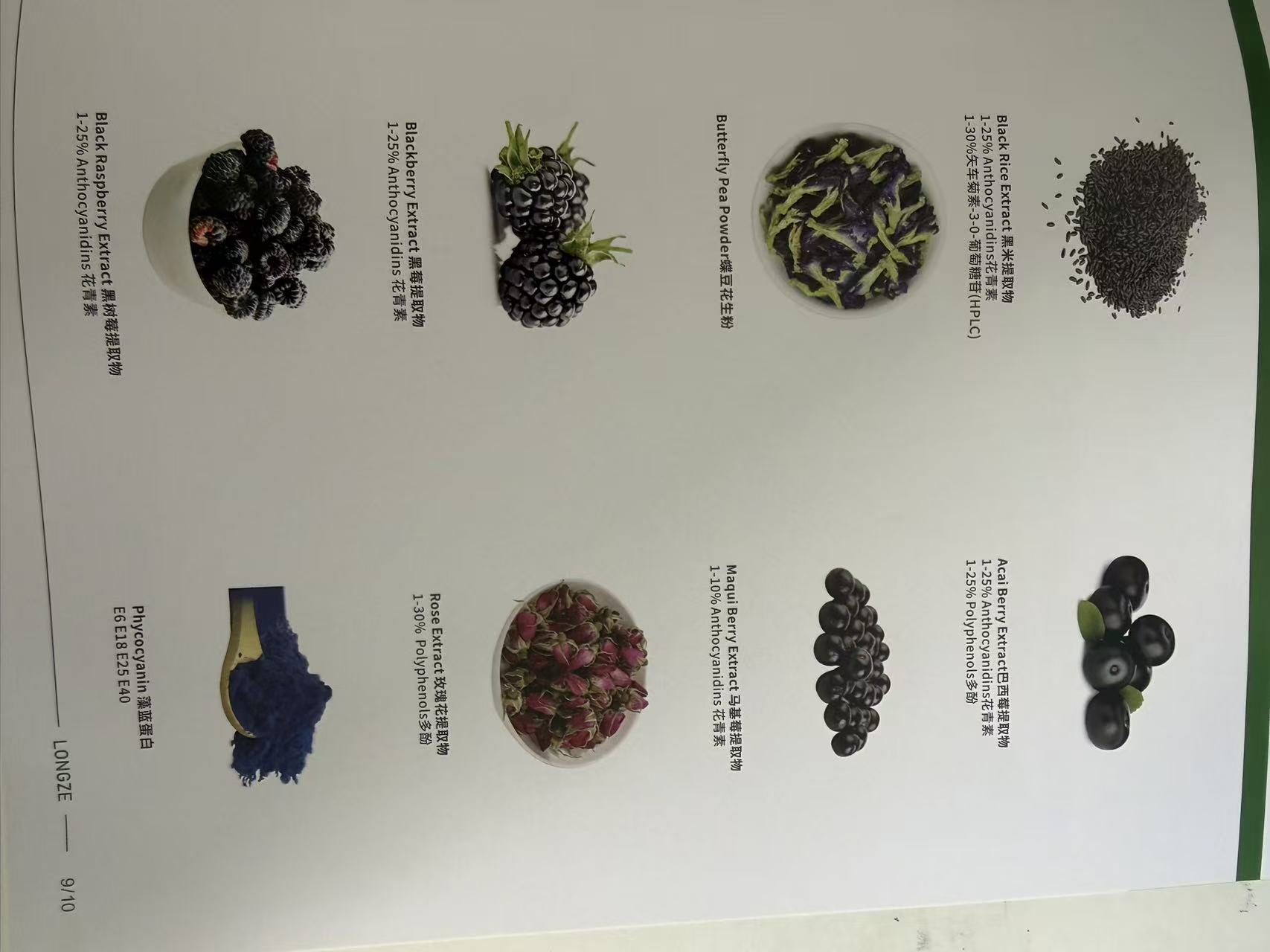 Phycocyanin botanical source illustration from the supplied catalog