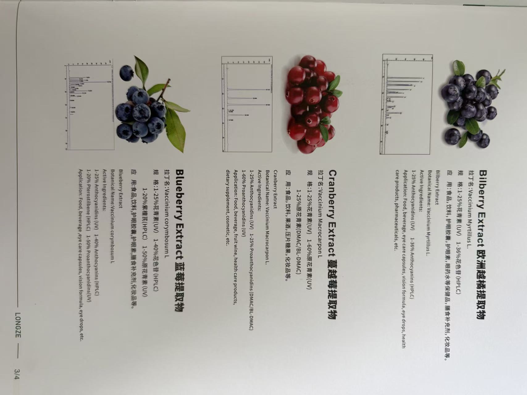 Cranberry Extract botanical source illustration from the supplied catalog