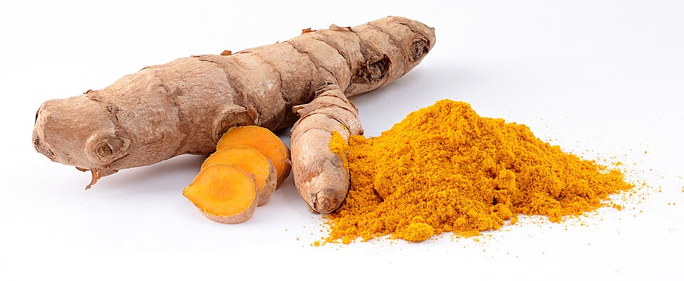 Turmeric rhizomes and powder (Curcuma longa) — botanical reference photo